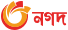 Footer Payment Method Nagad by jaya9.co.com